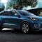 Kia Niro Plug in Hybrid Probleme und Lösungen